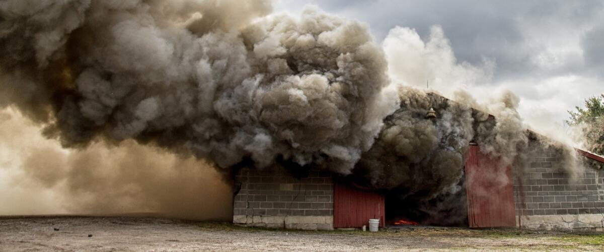 stalbranden veestallen